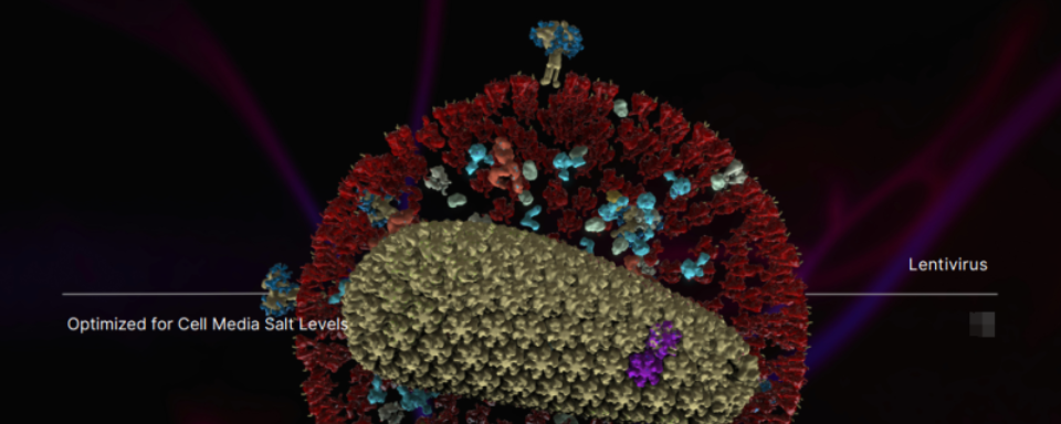 北京生理鹽條件中鹽核酸酶70950 服務(wù)為先 上海倍篤生物科技供應(yīng)
