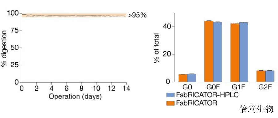 河北FabALACTICAIdeS蛋白酶