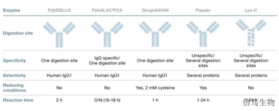 辽宁GlycINATORIdeS蛋白酶IgG特异性蛋白酶