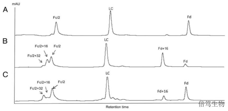 辽宁FabULOUSIdeS蛋白酶蛋白组学