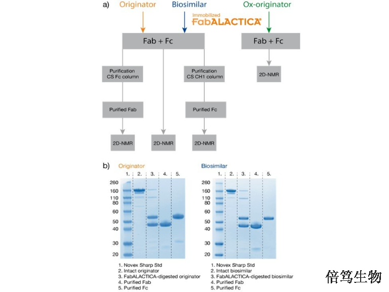 海南FabRICATORIdeS蛋白酶蛋白组学