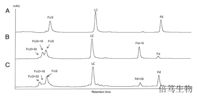 河北GlycINATORIdeS蛋白酶蛋白组学