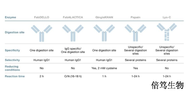 青海GingisREXIdeS蛋白酶蛋白组学