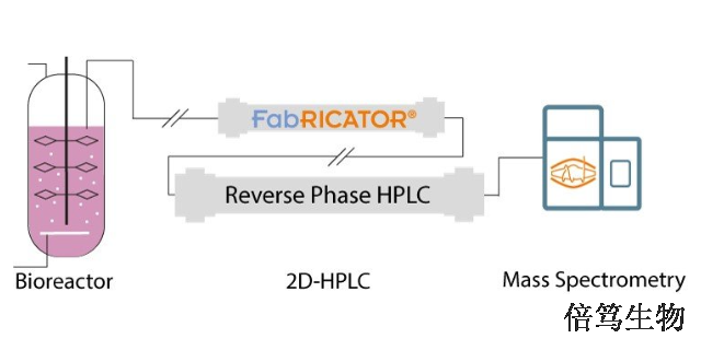 海南FabRICATOR ZIdeS蛋白酶蛋白组学