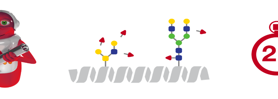 青海冻干粉形式PNGaseF去糖基化酶生物药物开发,PNGaseF去糖基化酶