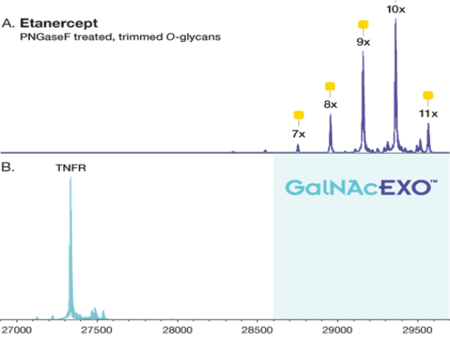 青海用于自动化系统的96孔板形式PNGaseF去糖基化酶瑞典Genovis
