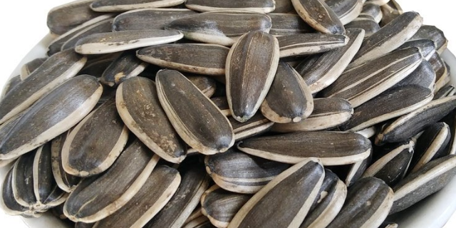 乌海瓜子的营养价值 巴彦淖尔市冠生园食品供应;