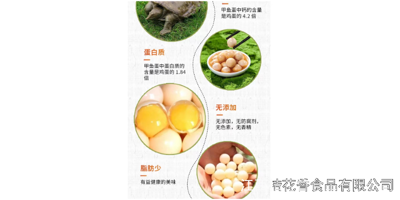 广东靠谱的南丰甲鱼蛋代理品牌,南丰甲鱼蛋