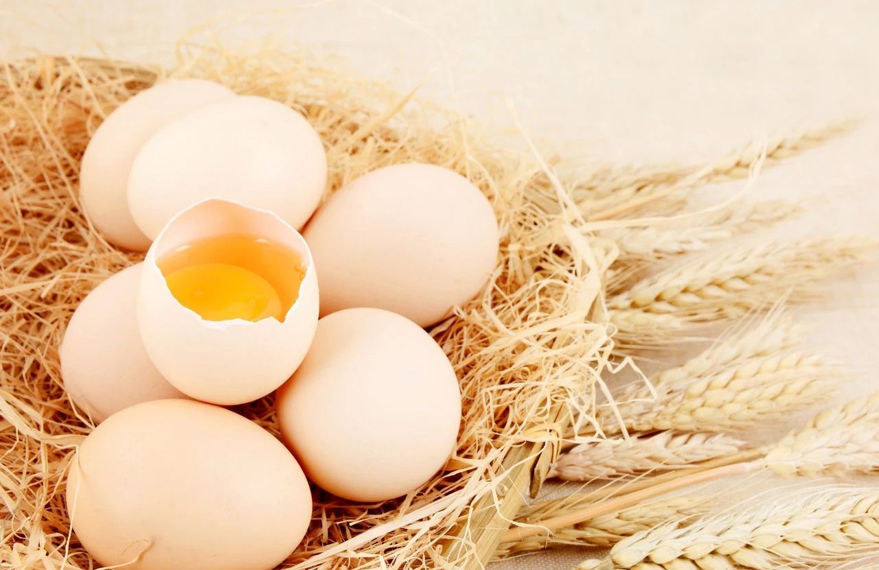 饮食健康丨一天吃几个鸡蛋比较合适？