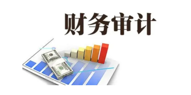 吴中区咨询财务审计供应,财务审计