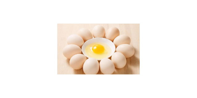 石家庄哪个企业鸡蛋比较好,鸡蛋