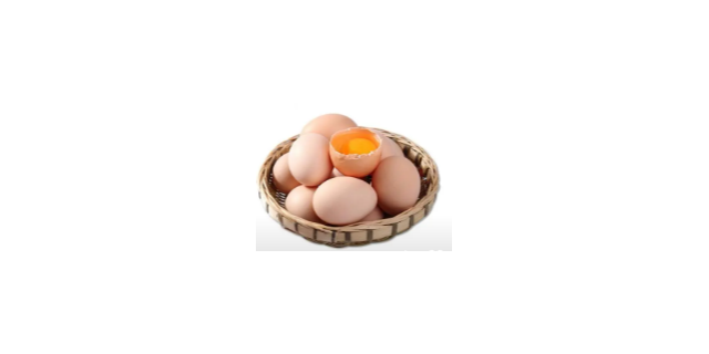 石家庄哪里鸡蛋比较好,鸡蛋
