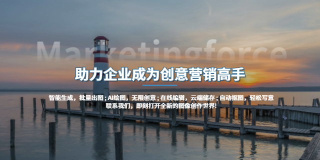 滑縣智能創意怎么辦 服務為先 林州樂悠網絡信息科技供應