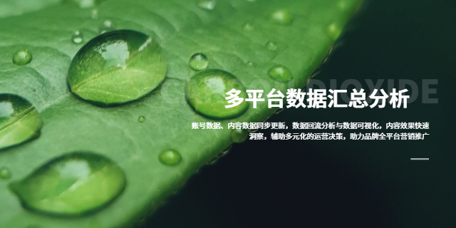安陽(yáng)縣參考自媒體矩陣 鑄造輝煌 林州樂(lè)悠網(wǎng)絡(luò)信息科技供應(yīng)