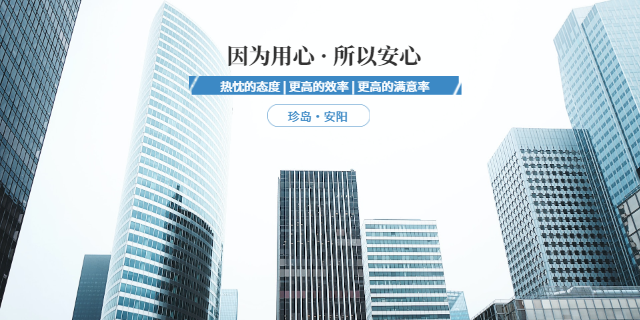 安阳创新企业数字智能化营销优化 诚信服务 林州乐悠网络信息科技供应