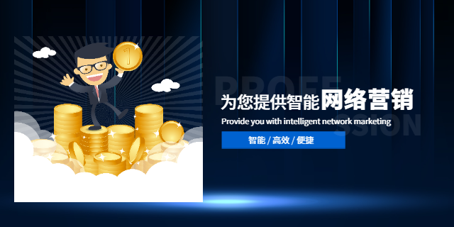 安阳原则企业数字智能化营销诚信合作 来电咨询 林州乐悠网络信息科技供应