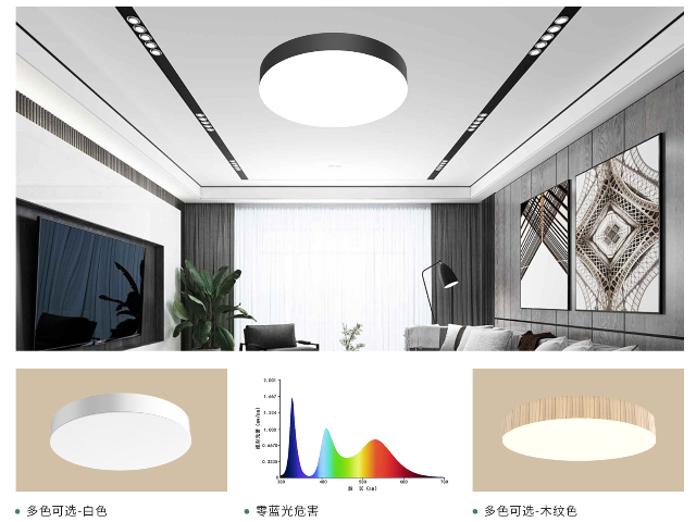长沙筒灯led灯灯厂厂家 广东省零蓝谱科技供应;