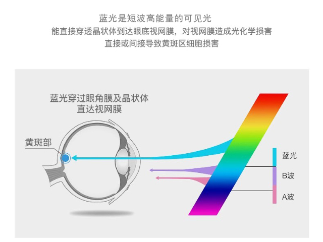 中山办公LED护眼吸顶灯订制价格,LED护眼吸顶灯