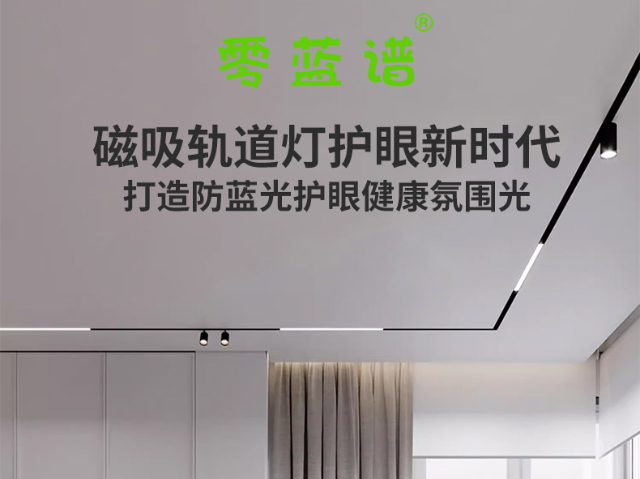 中山LED護(hù)眼磁吸燈哪家好 貼心服務(wù) 廣東省零藍(lán)譜科技供應(yīng)