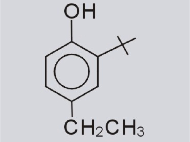 海南生產2-叔丁基-4-乙基苯酚現貨,2-叔丁基-4-乙基苯酚