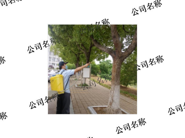 上海虫害防治服务,防治服务