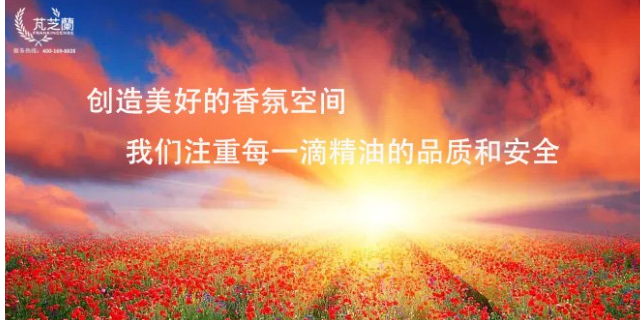 深圳本地香氛精油批发厂家 客户至上 深圳芃芝兰科技供应