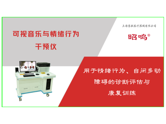 启音博士失语症康复训练仪价格 推荐咨询 上海慧敏医疗器械供应