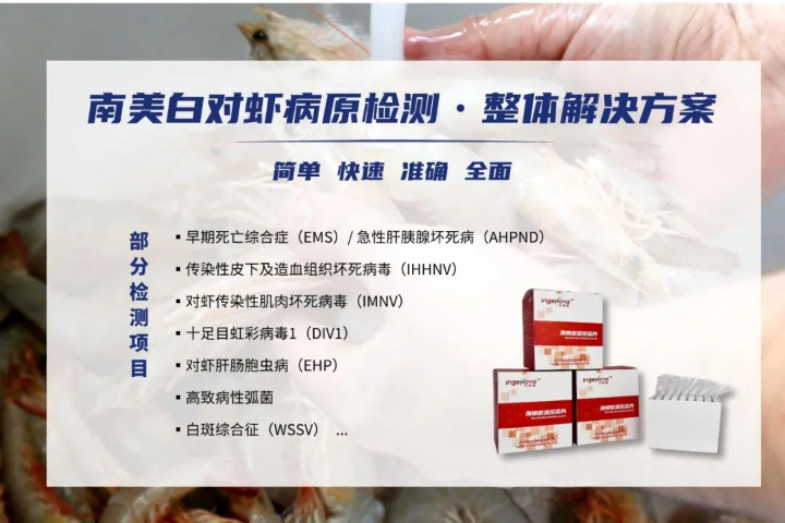 苏州猪病诊断巧亦捷宠物PCR