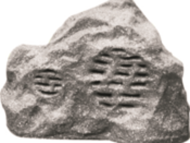 紹興質(zhì)量特控公共廣播系統(tǒng)特控背景音樂系統(tǒng) 服務(wù)為先 深圳市特控智迅科技供應(yīng)