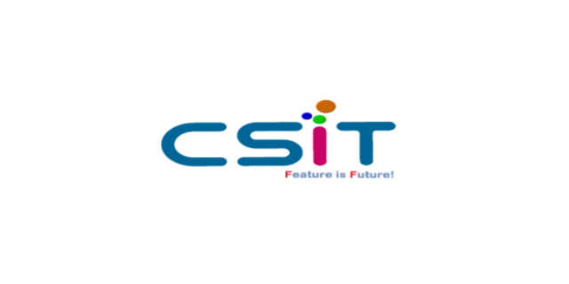 高效CSIT有幾種,CSIT