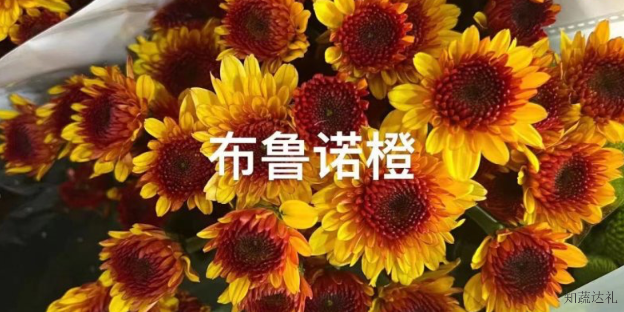 广东包鲜花的视频