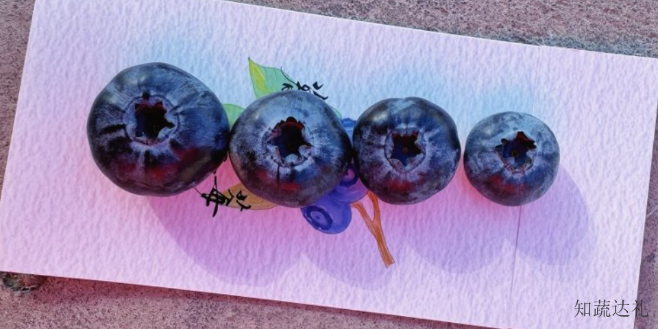 上海蓝莓有哪些