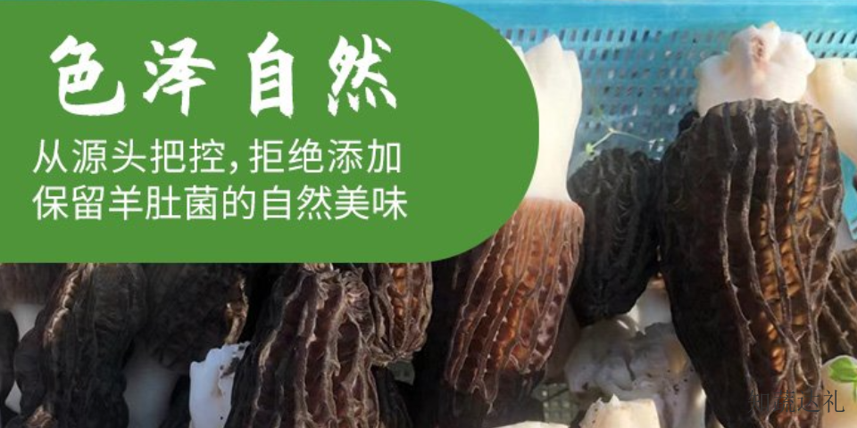 中国香港鲜羊肚菌图片