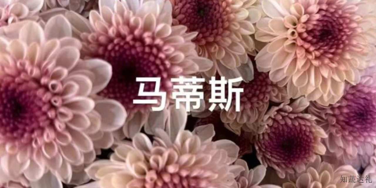 天津描写鲜花盛开的词语