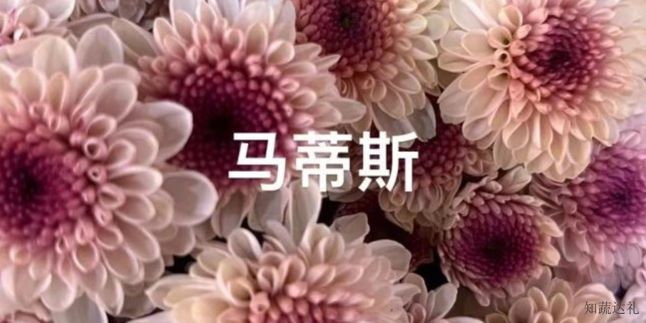 广东长辈生日送什么鲜花