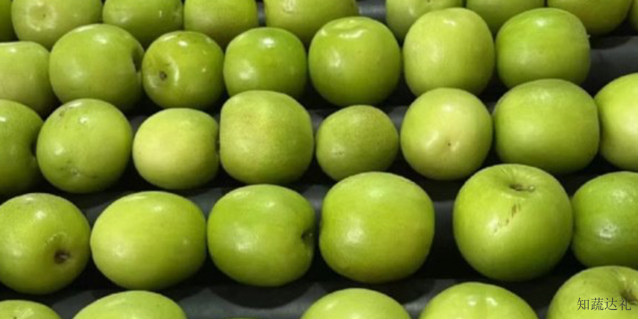 中国香港苹果枣种植技术