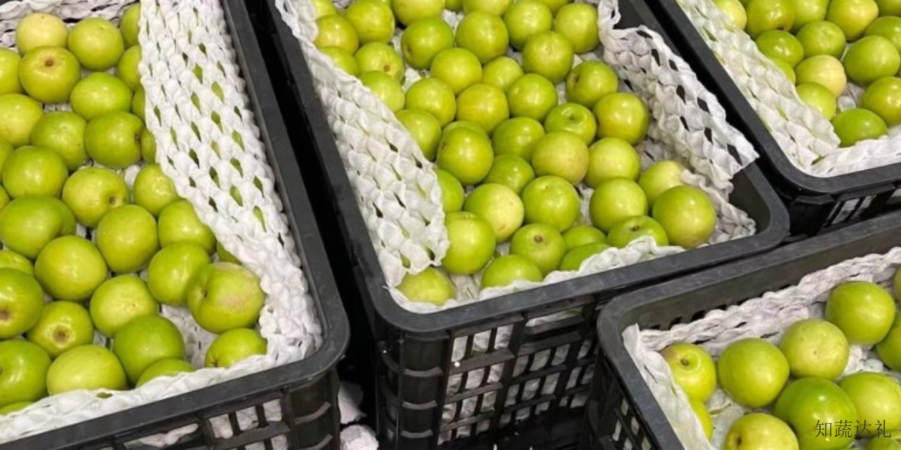 中国香港苹果枣工厂直销