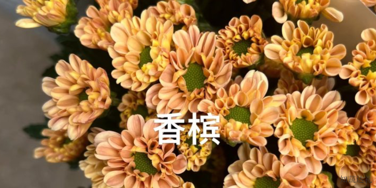 西藏鲜花名称大全