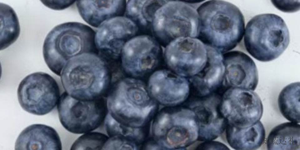 天津蓝莓的营养价值