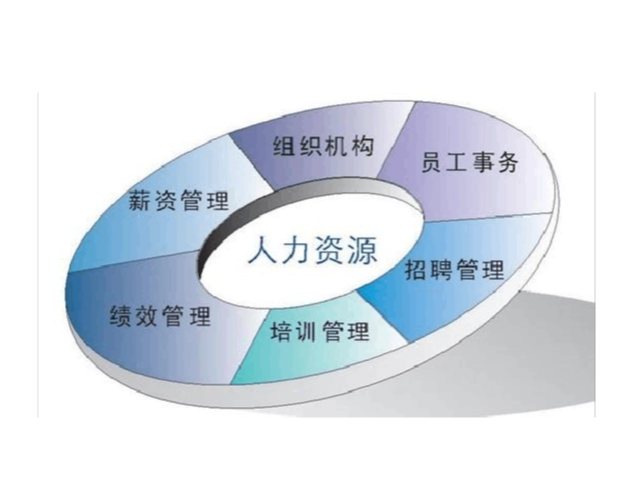南京企业人力资源管理是什么,人力资源管理