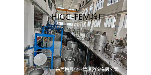 广安HIGG-FEM认证公司,HIGG-FEM认证