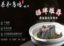 泰和乌鸡药食同源