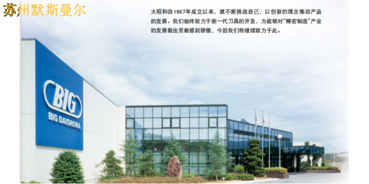 上海国产BIG大昭和厂商 欢迎咨询 苏州默斯曼尔供应