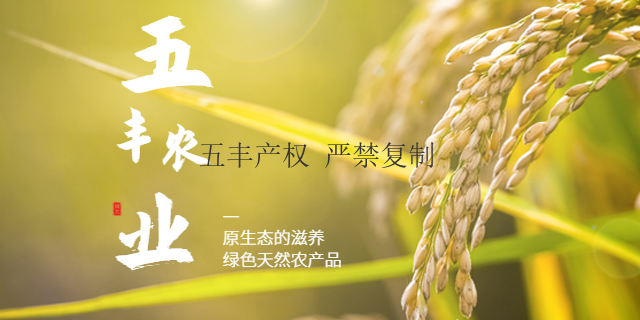 吴忠农田土壤修复菌剂 值得信赖 宁夏五丰农业科技供应