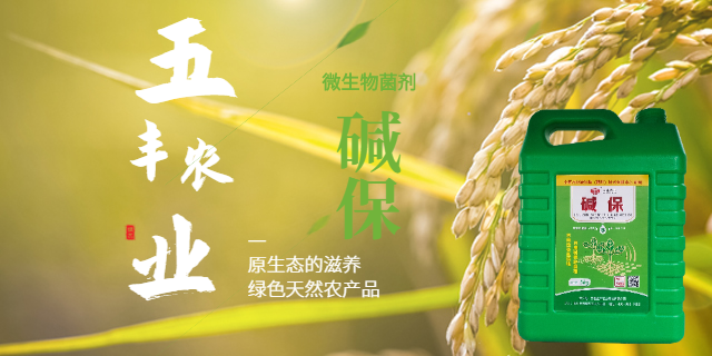 吴忠玉米固氮生物肥料厂家 服务到位 宁夏五丰农业科技供应