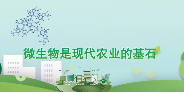 云南解磷菌生物肥料厂家电话 服务到位 宁夏五丰农业科技供应