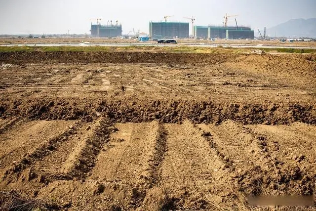 鹽堿化和鹽漬化的區(qū)別