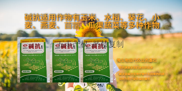 云南土壤修复方案 服务到位 宁夏五丰农业科技供应