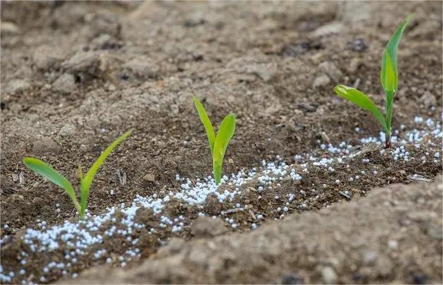 土壤鹽堿化的防治措施有哪些