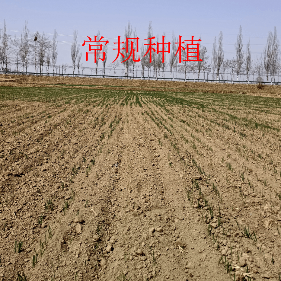 土壤鹽堿化的主要原因